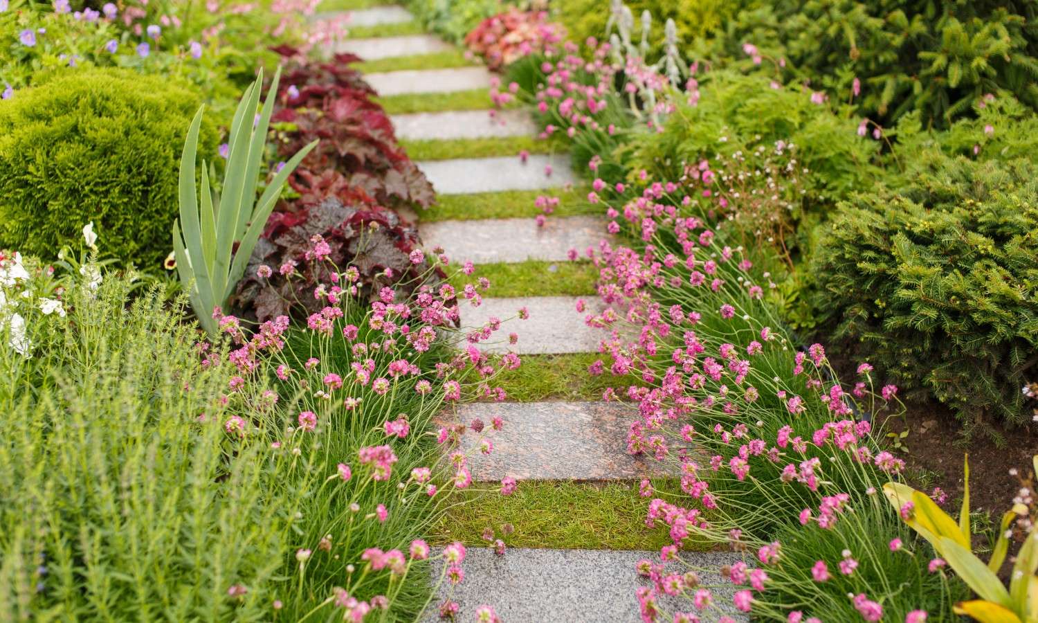 Landscaping Dartry County Dublin